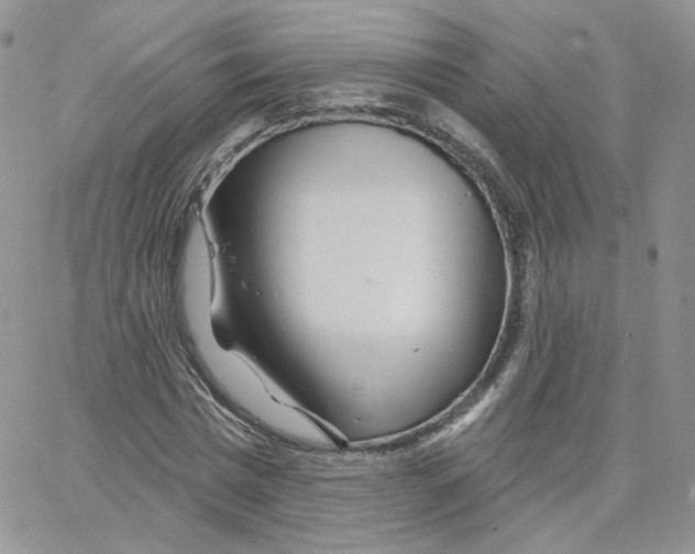 X0000065260777200603131201