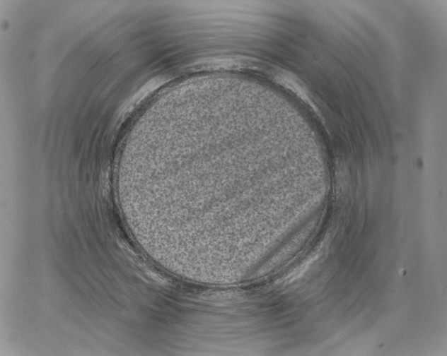 X0000065260778200603131201