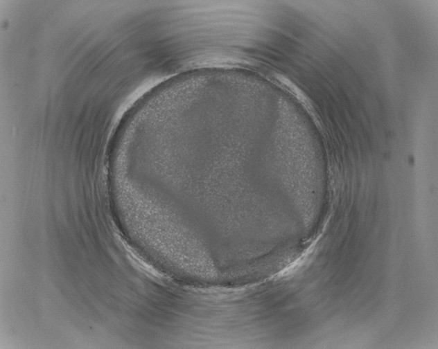 X0000065260779200603131201