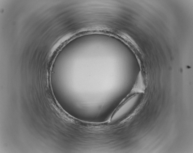 X0000065260781200603131201