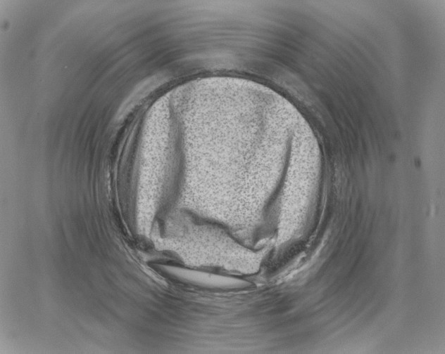 X0000065260782200603131201