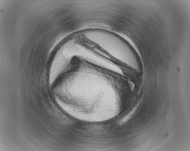 X0000065260783200603131201