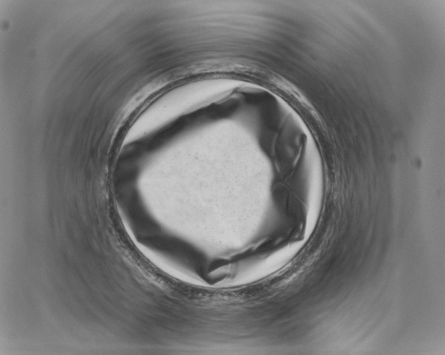 X0000065260786200603131201