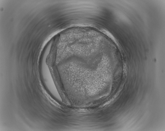 X0000065260787200603131201