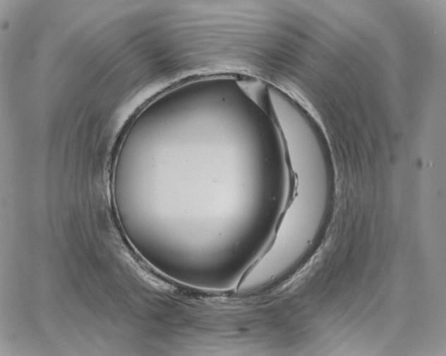 X0000065260789200603131201