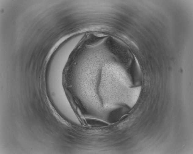 X0000065260792200603131201