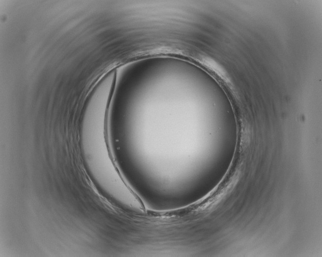 X0000065260793200603131201