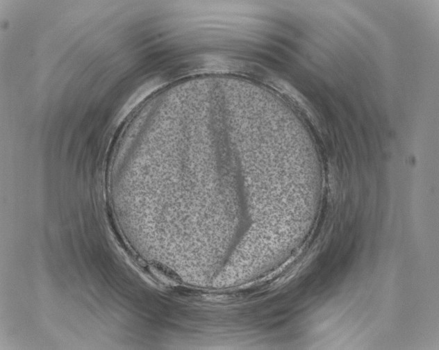 X0000065260794200603131201