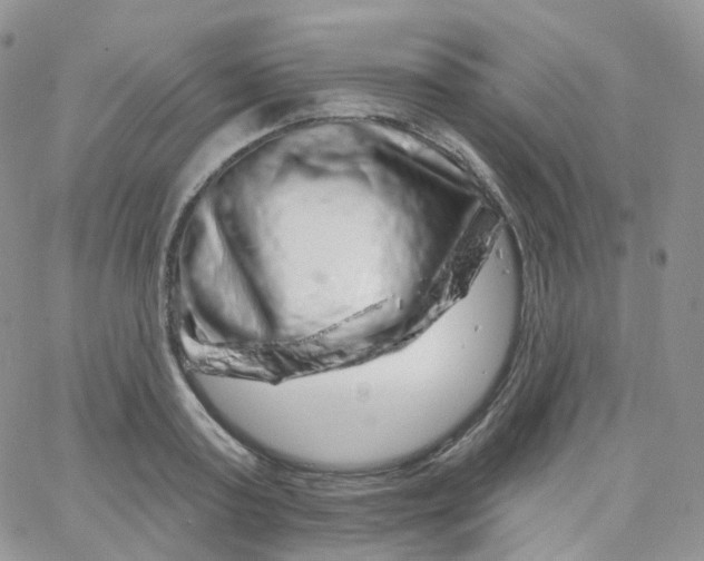 X0000065260795200603131201