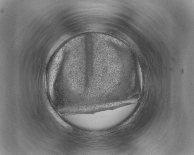 X0000065260796200603131201