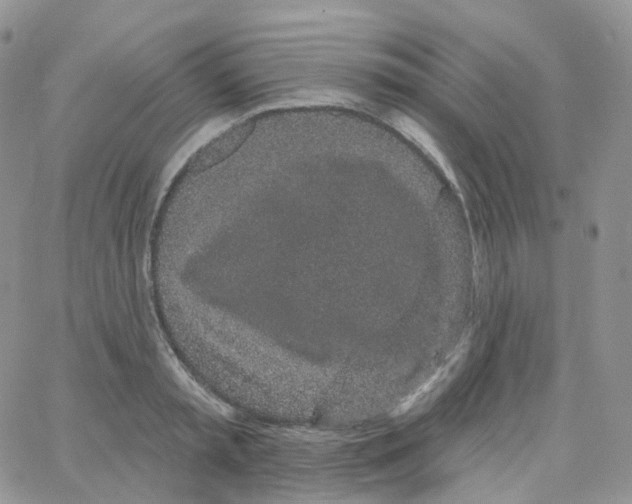 X0000065260797200603131201