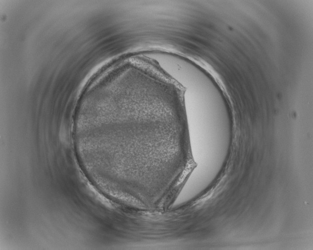 X0000065260799200603131201