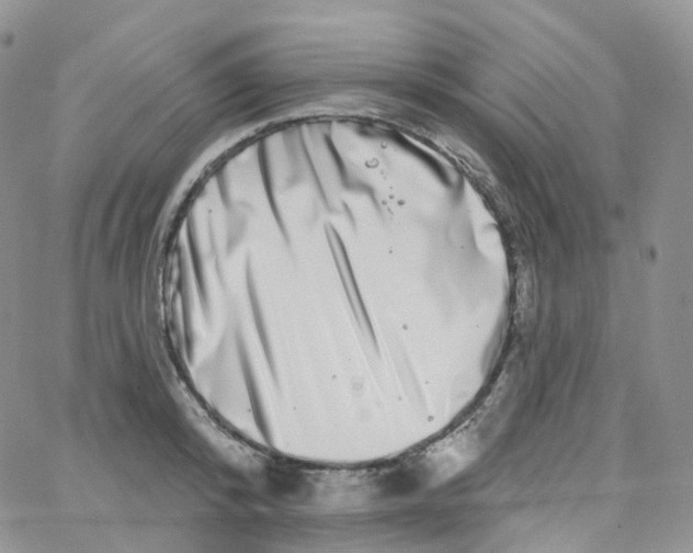 X0000065260800200603131201