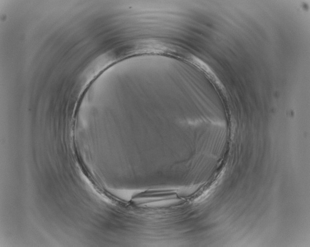 X0000065260802200603131201