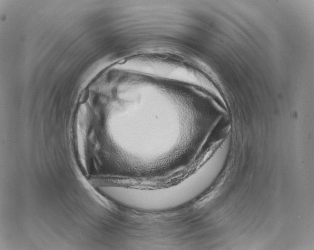 X0000065260803200603131201