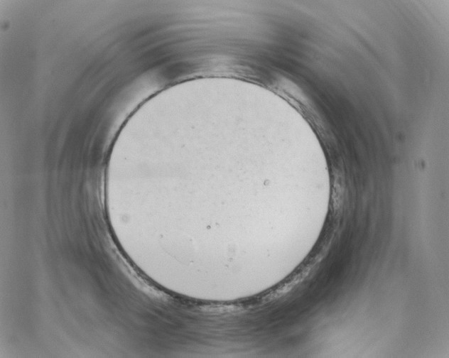 X0000065260804200603131201