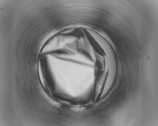 X0000065260805200603131201