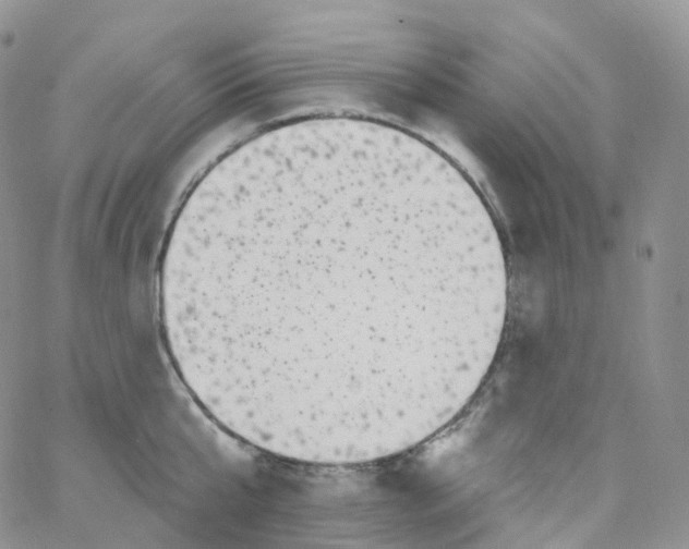 X0000065260807200603131201