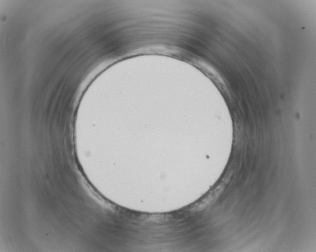 X0000065260808200603131201