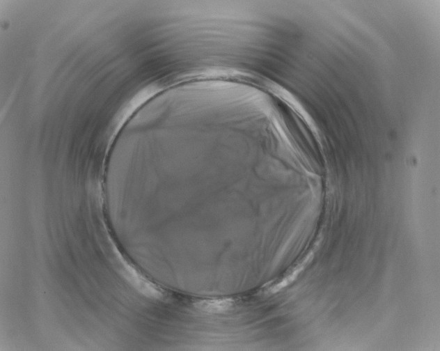 X0000065260810200603131201