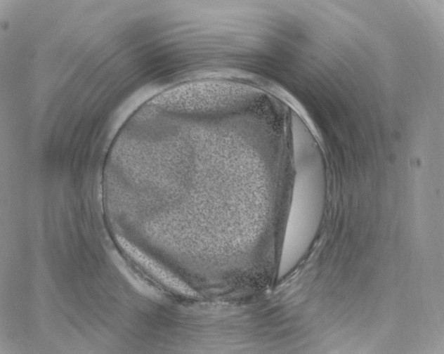 X0000065260811200603131201