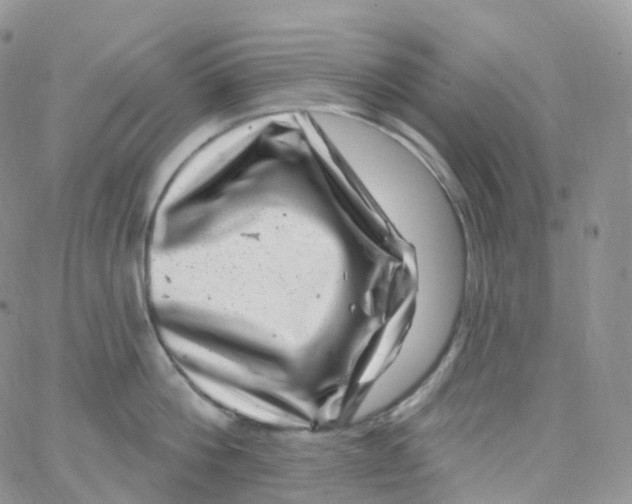 X0000065260812200603131201