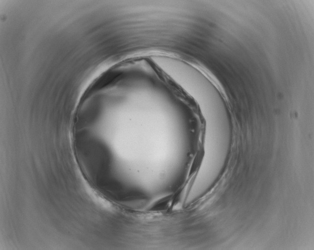 X0000065260813200603131201