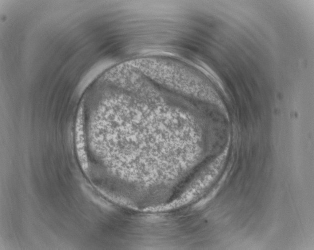 X0000065260814200603131201