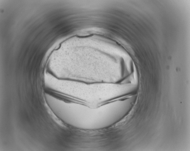 X0000065260816200603131201