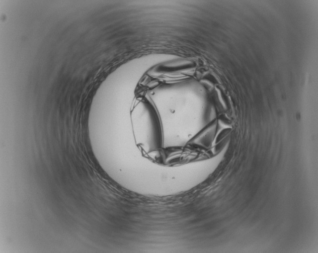 X0000065260818200603131200