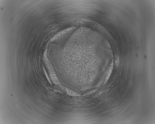 X0000065260819200603131200