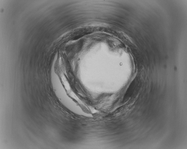 X0000065260821200603131200