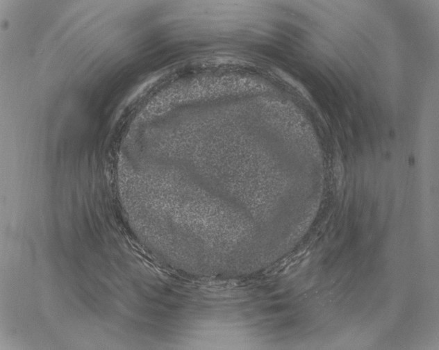 X0000065260823200603131200