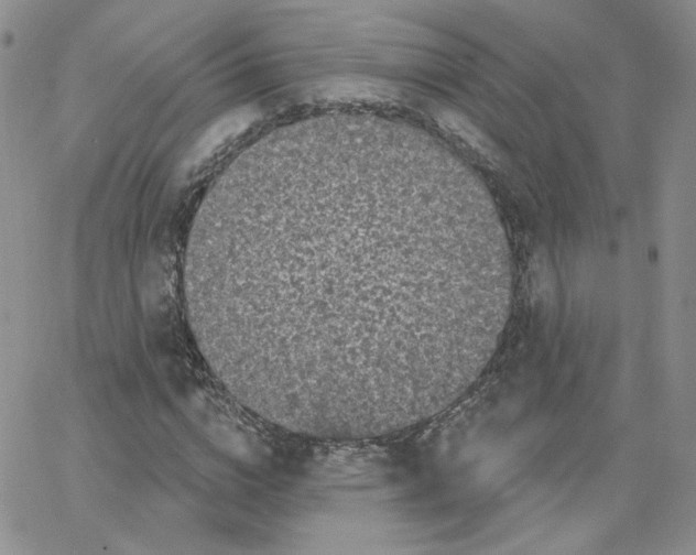 X0000065260824200603131200