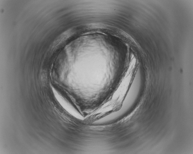 X0000065260825200603131200