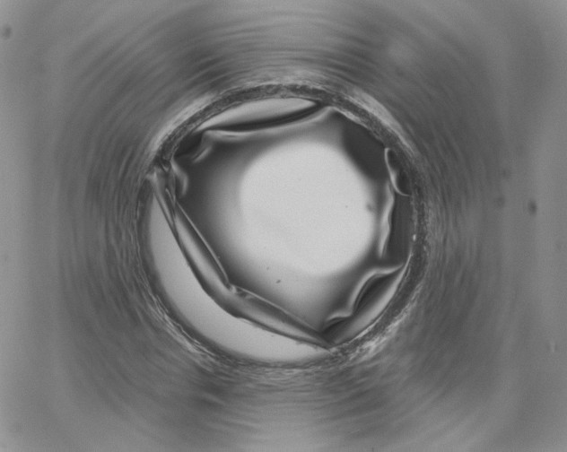 X0000065260826200603131200