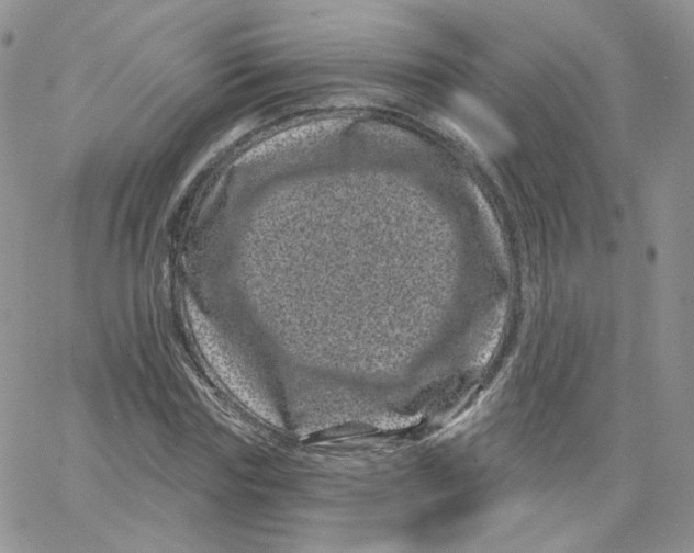 X0000065260827200603131200