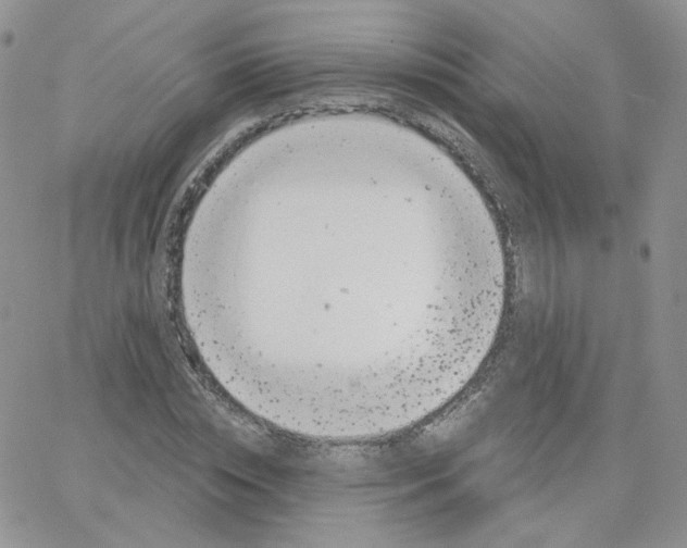 X0000065260828200603131200