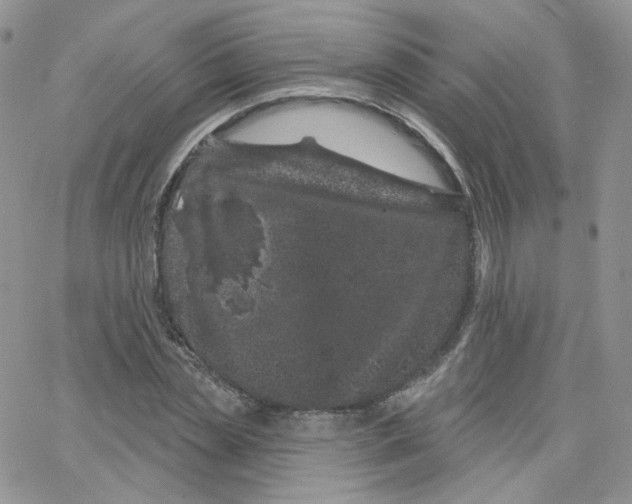 X0000065260829200603131200