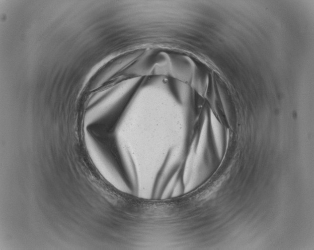 X0000065260830200603131200