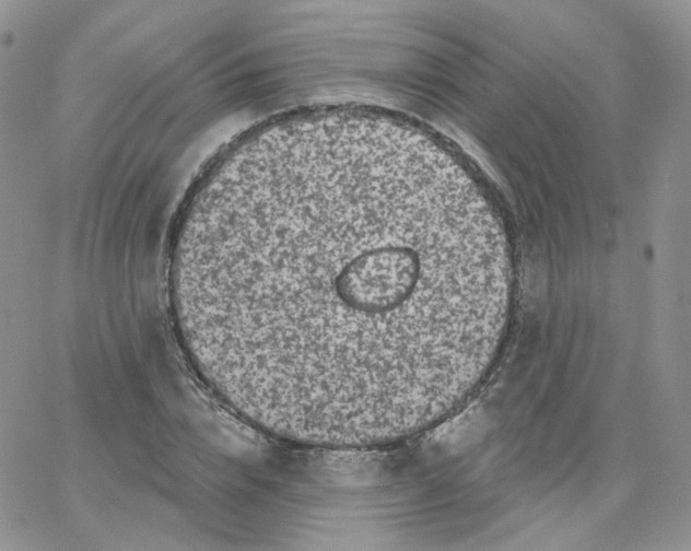 X0000065260832200603131200