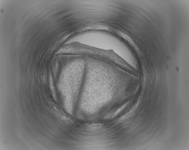 X0000065260833200603131200