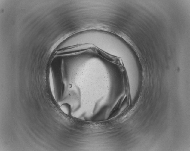 X0000065260834200603131200