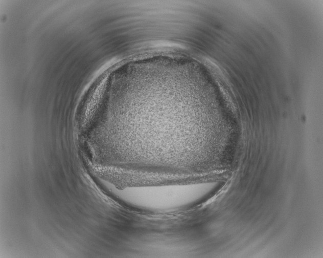 X0000065260835200603131200