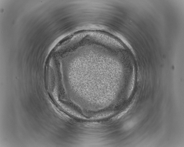 X0000065260837200603131200