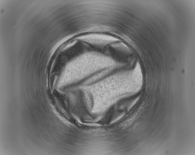 X0000065260838200603131200