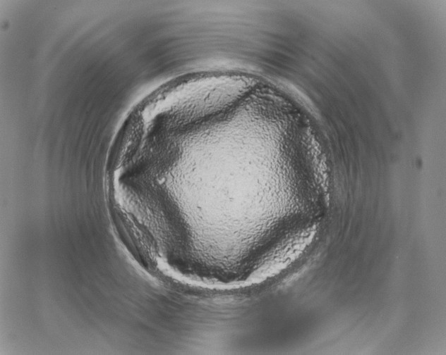 X0000065260839200603131200