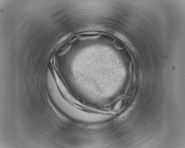 X0000065260841200603131200