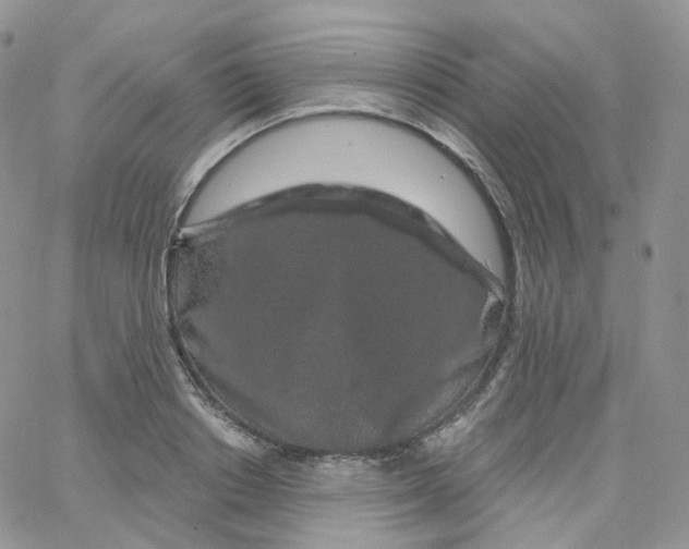 X0000065260842200603131200