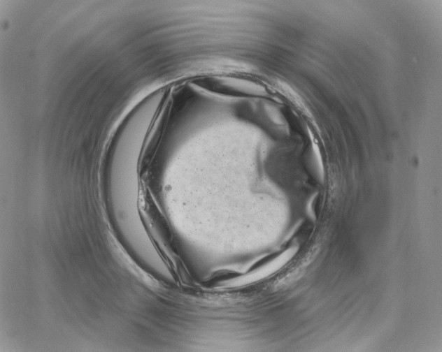 X0000065260843200603131200